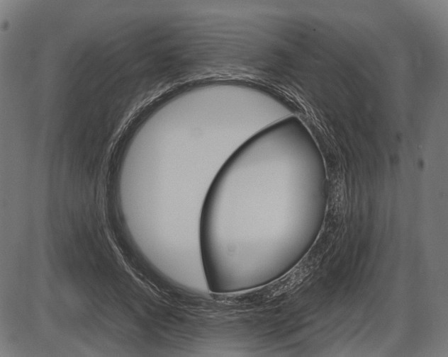 X0000087580736200704271044