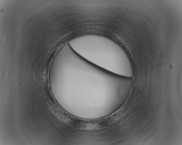 X0000087580737200704271044