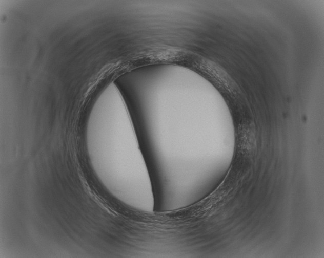 X0000087580738200704271044