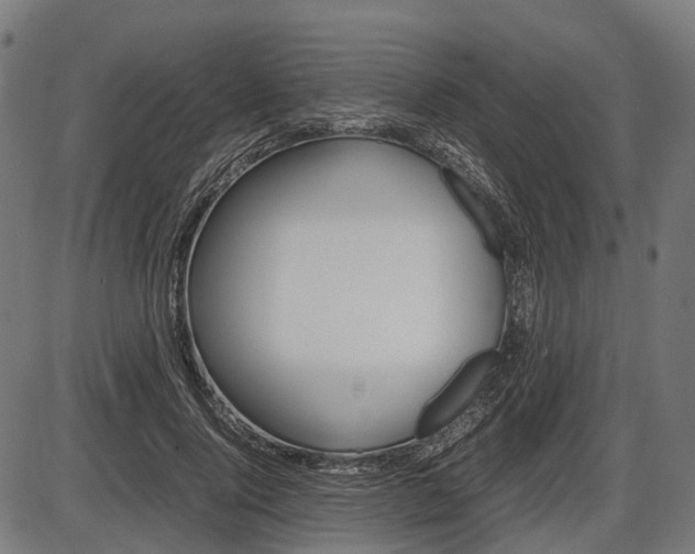 X0000087580740200704271044