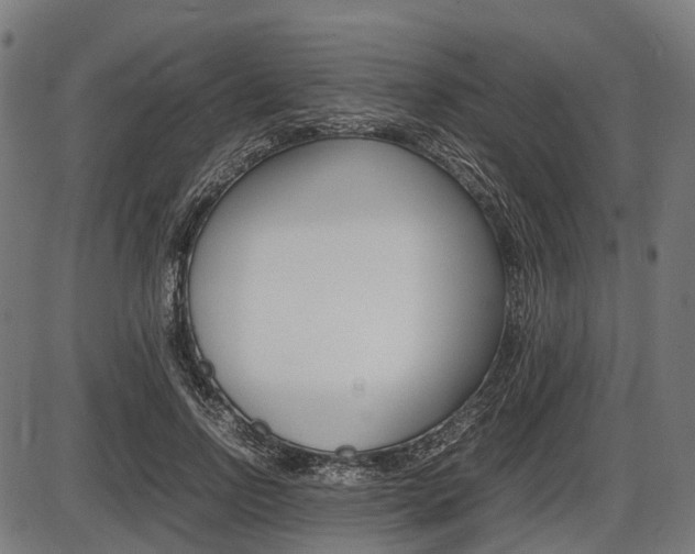 X0000087580742200704271044