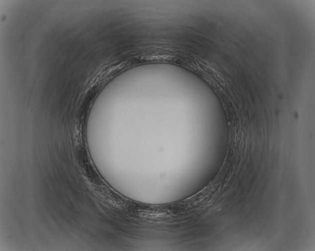 X0000087580743200704271044