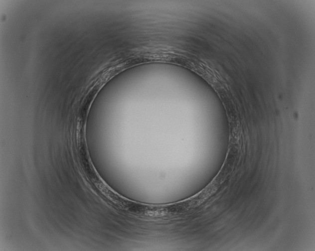 X0000087580744200704271044