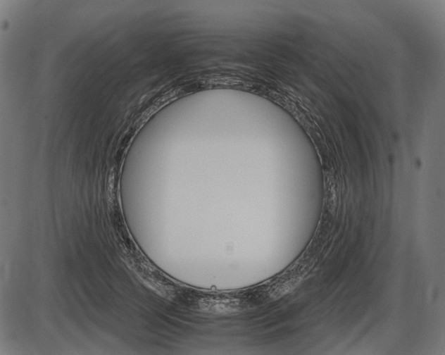 X0000087580745200704271044