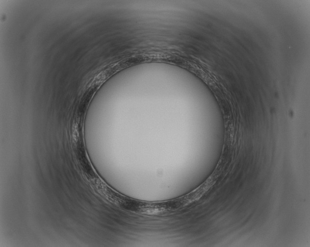 X0000087580746200704271045