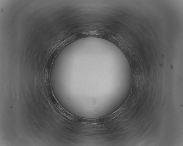 X0000087580747200704271045