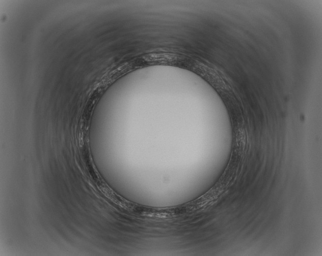 X0000087580751200704271045