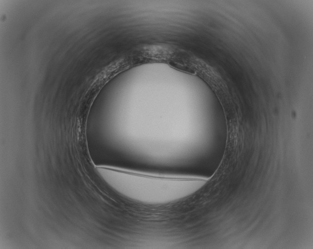 X0000087580752200704271045