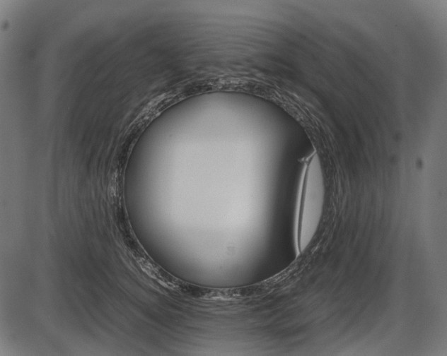 X0000087580756200704271045