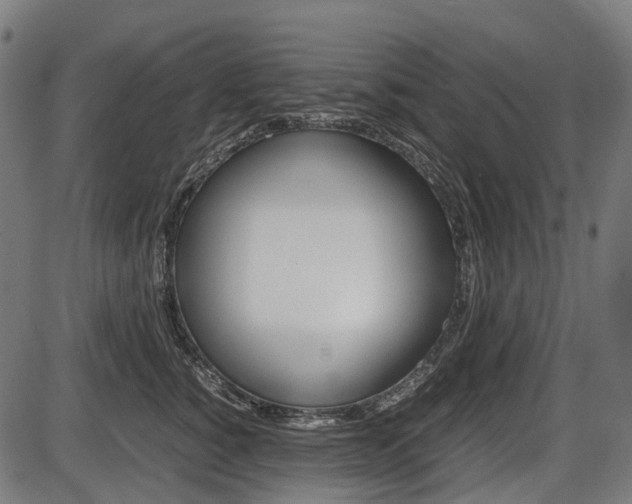 X0000087580760200704271045