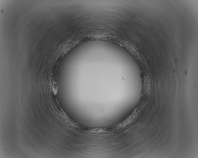 X0000087580762200704271045