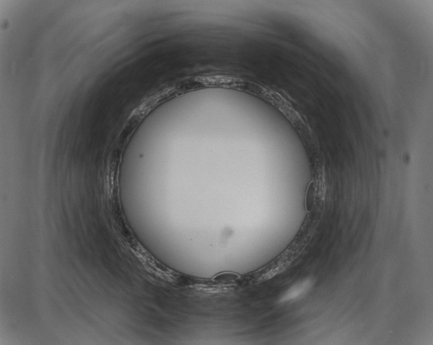 X0000087580763200704271045