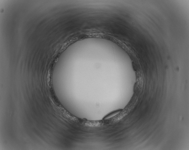 X0000087580767200704271045