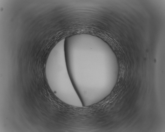 X0000087580770200704271044