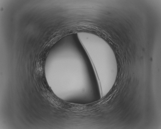 X0000087580771200704271044