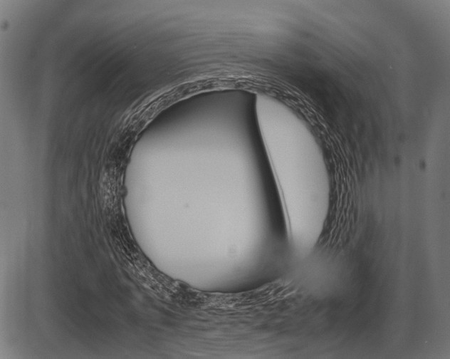 X0000087580773200704271044