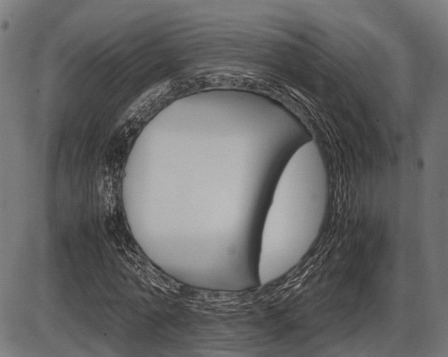 X0000087580774200704271044