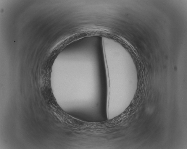 X0000087580775200704271044
