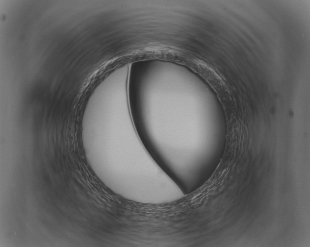 X0000087580776200704271044