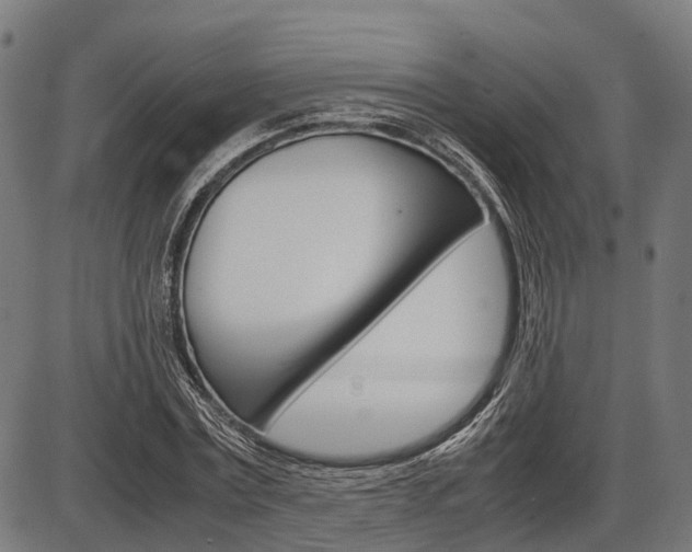 X0000087580779200704271044