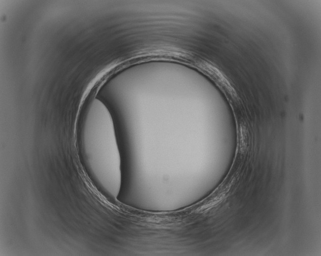 X0000087580780200704271044