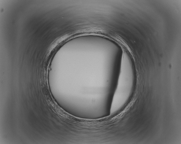 X0000087580781200704271044