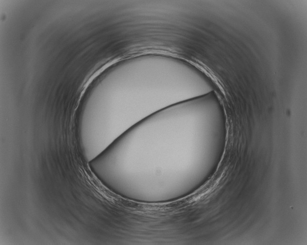 X0000087580782200704271044
