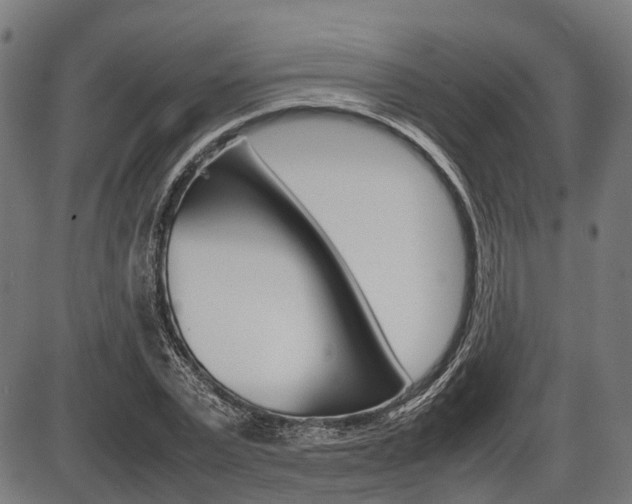 X0000087580783200704271044