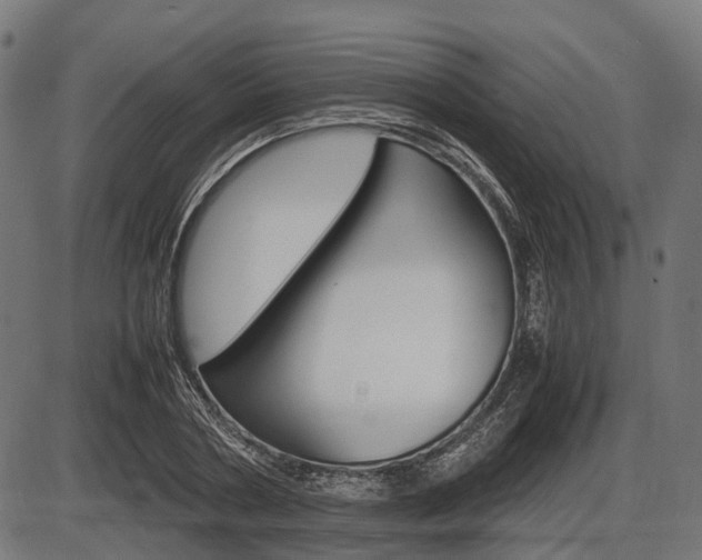 X0000087580786200704271044