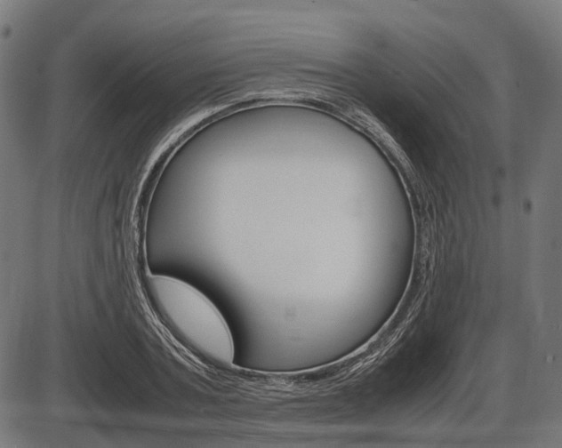 X0000087580787200704271044