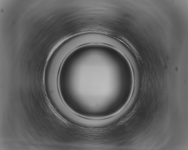 X0000087580788200704271044