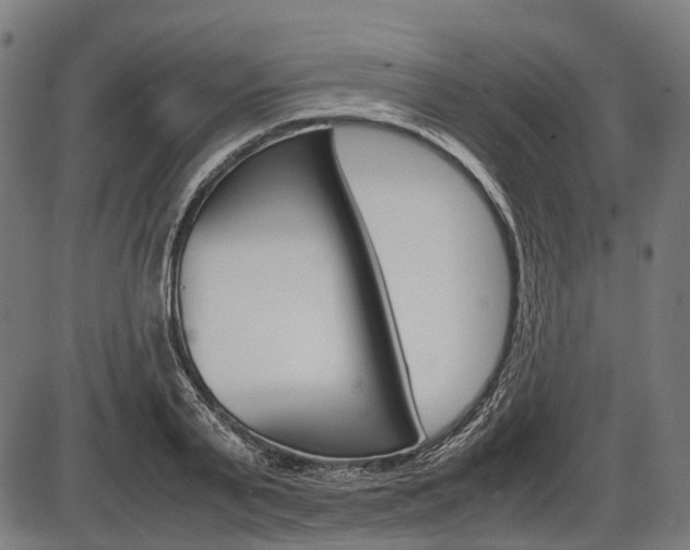 X0000087580791200704271044