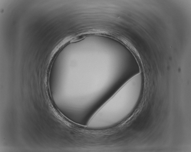 X0000087580797200704271044