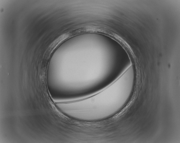 X0000087580801200704271044