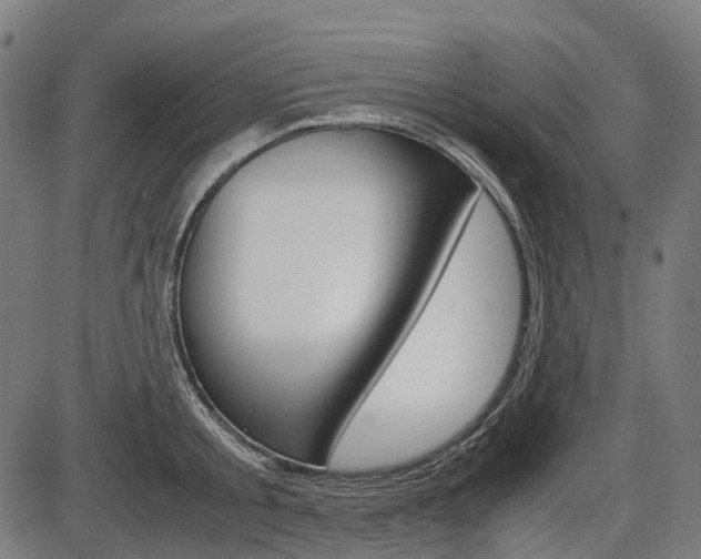 X0000087580805200704271043