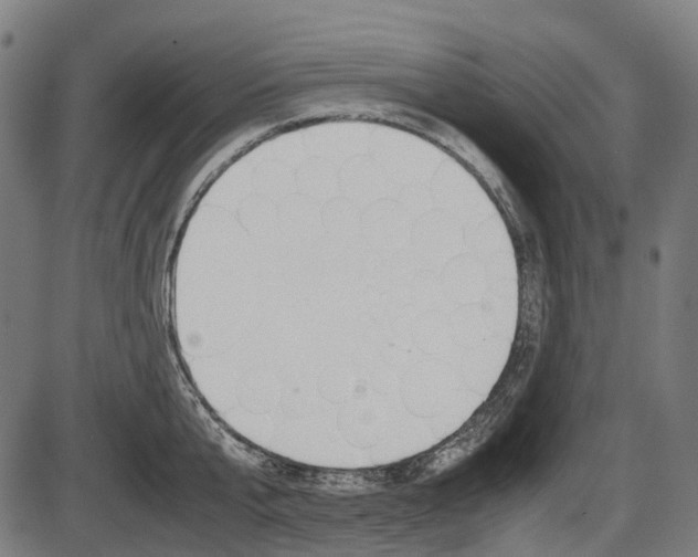 X0000087580807200704271043