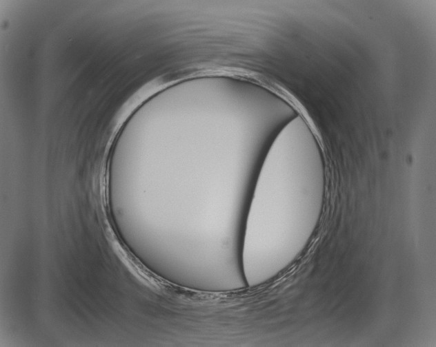 X0000087580811200704271043