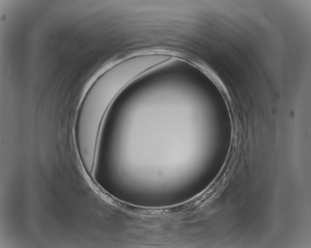 X0000087580813200704271043