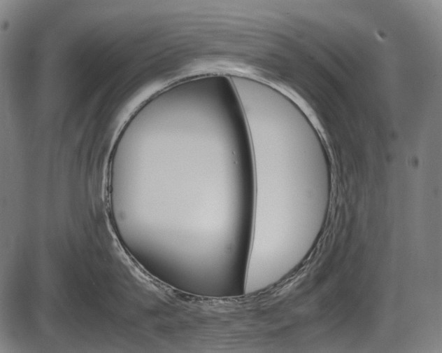 X0000087580815200704271043