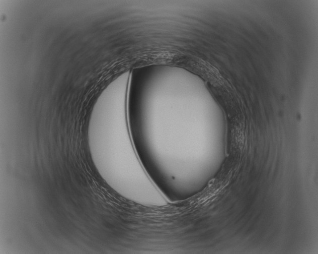X0000087580818200704271043