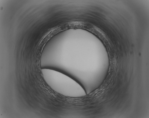 X0000087580823200704271043