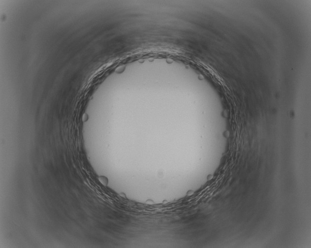 X0000087580824200704271043