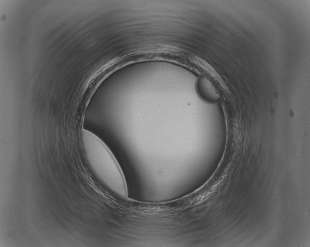 X0000087580826200704271043