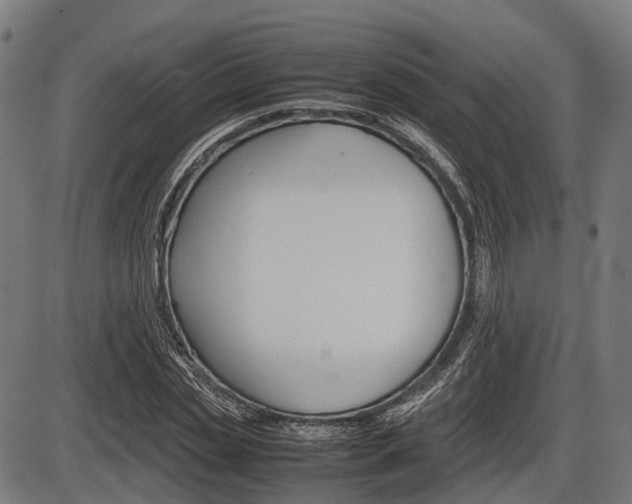 X0000087580829200704271043