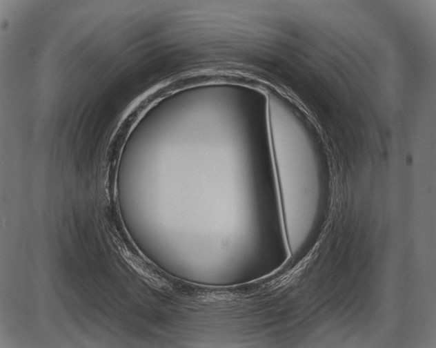 X0000087580830200704271043