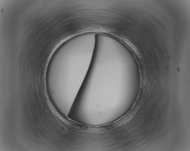 X0000087580840200704271043