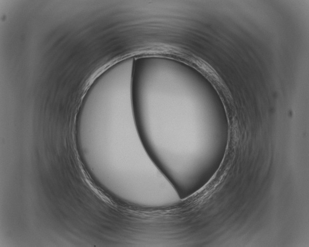 X0000087580842200704271043