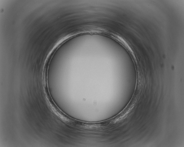 X0000087580843200704271043