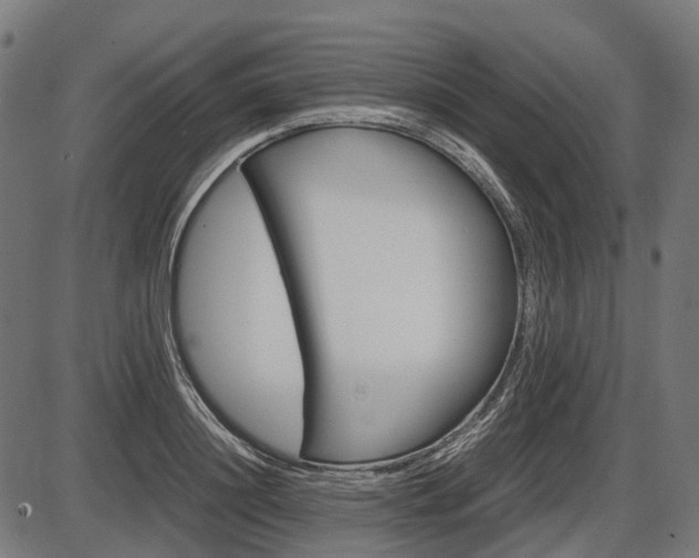 X0000087580844200704271043