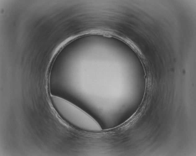 X0000087580854200704271043